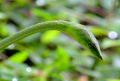 IIP Online Student Photography